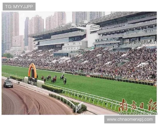 hkjc中文站：香港赛马会中文站最新赛事信息与投注策略分析